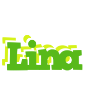 lina picnic logo