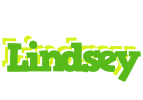 lindsey picnic logo