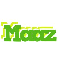 maaz picnic logo