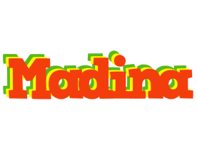 madina bbq logo