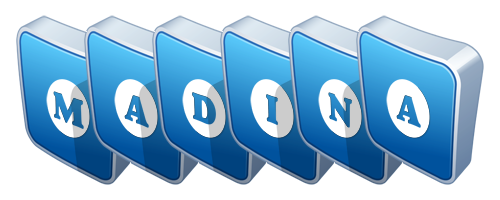 madina flippy logo