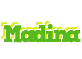 madina picnic logo