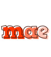 mae paint logo