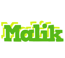 malik picnic logo