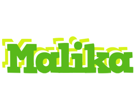 malika picnic logo