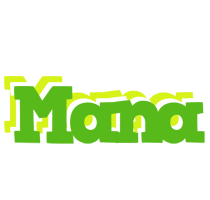 mana picnic logo