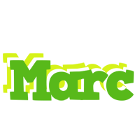 marc picnic logo