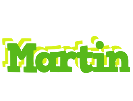 martin picnic logo