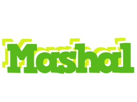 mashal picnic logo