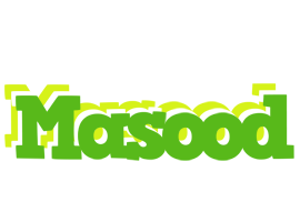 masood picnic logo