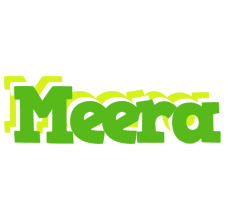 meera picnic logo