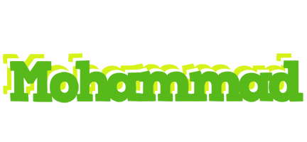 mohammad picnic logo