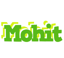 mohit picnic logo