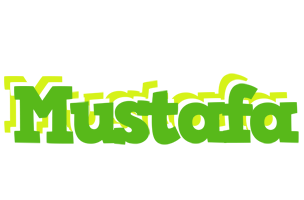 mustafa picnic logo