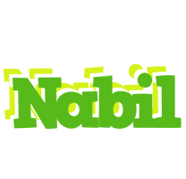nabil picnic logo