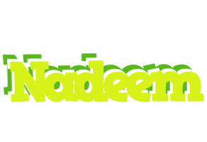 nadeem citrus logo