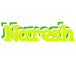 naresh citrus logo