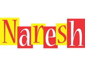 naresh errors logo