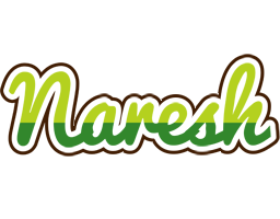 naresh golfing logo