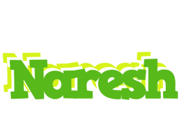 naresh picnic logo