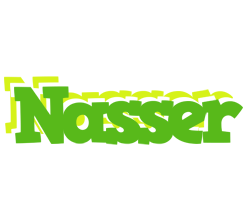 nasser picnic logo