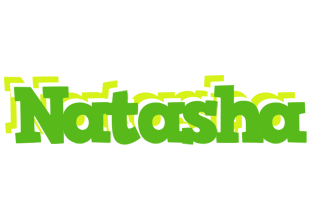 natasha picnic logo
