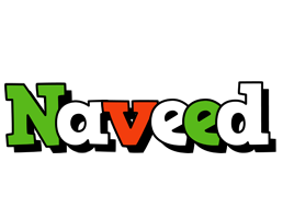 naveed venezia logo