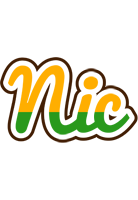 nic banana logo