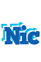 nic business logo
