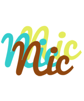 nic cupcake logo