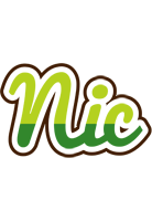 nic golfing logo