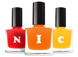 nic saloon logo