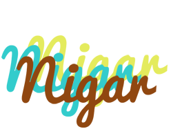 nigar cupcake logo