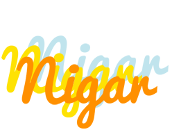 nigar energy logo