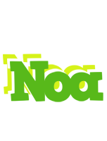 noa picnic logo