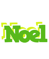 noel picnic logo