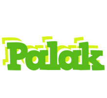 palak picnic logo