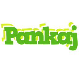 pankaj picnic logo