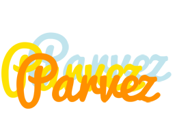 parvez energy logo