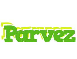 parvez picnic logo