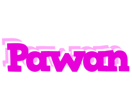 pawan rumba logo