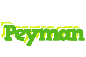 peyman picnic logo