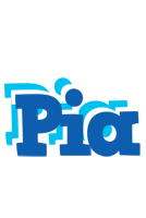 pia business logo