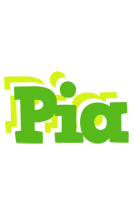 pia picnic logo