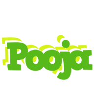 pooja picnic logo