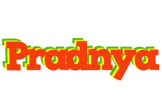 pradnya bbq logo