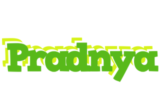 pradnya picnic logo