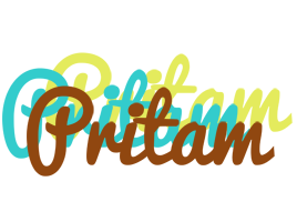 pritam cupcake logo