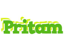 pritam picnic logo