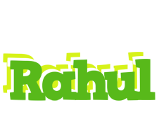 rahul picnic logo